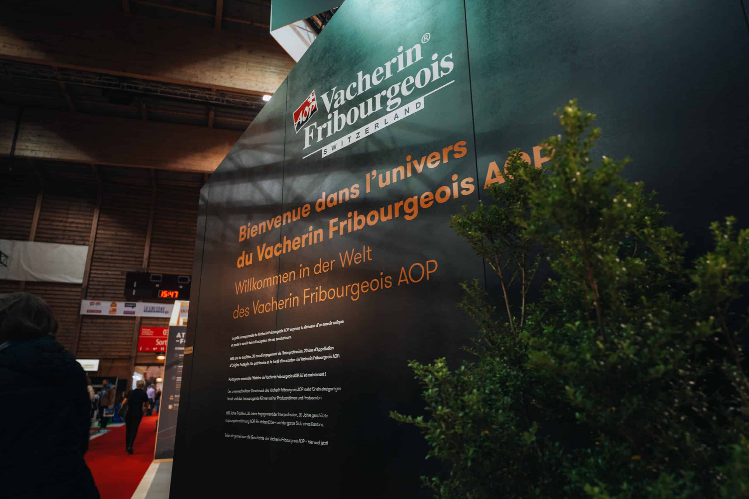 VACHERIN FRIBOURGEOIS-19